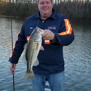 Meet your Posher, Greg